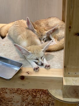 アニタッチ MARK IS 静岡に投稿された画像（2023/12/21）