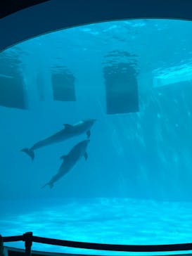 名古屋港水族館に投稿された画像（2023/12/21）