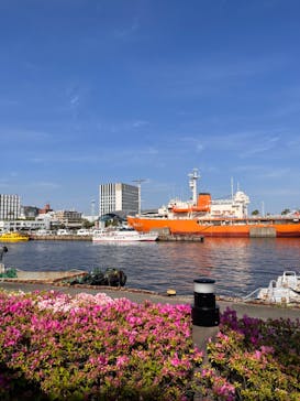 名古屋港水族館に投稿された画像（2023/12/21）