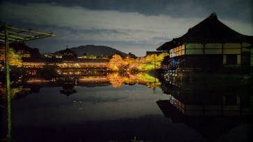 NAKEDヨルマイリ 2025-26 平安神宮に投稿された画像（2023/12/21）