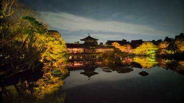 NAKEDヨルマイリ 2025-26 平安神宮に投稿された画像（2023/12/21）