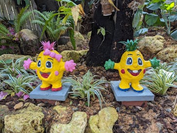 ナゴパイナップルパークに投稿された画像（2023/12/21）