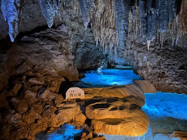 おきなわワールドに投稿された画像（2023/12/21）