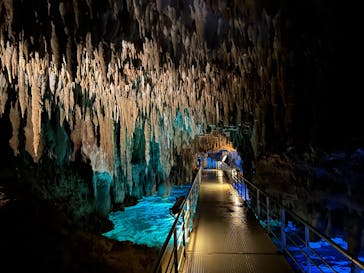 おきなわワールドに投稿された画像（2023/12/21）