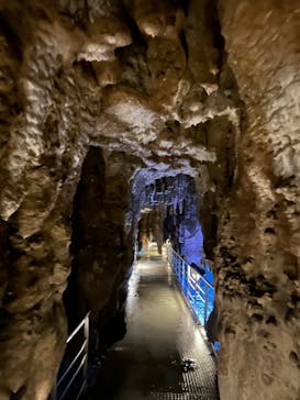 おきなわワールドに投稿された画像（2023/12/21）