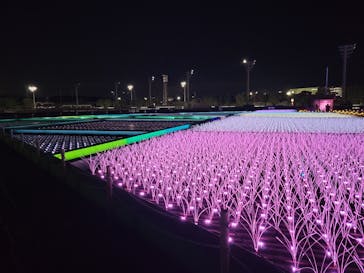 東京メガイルミに投稿された画像（2023/12/21）