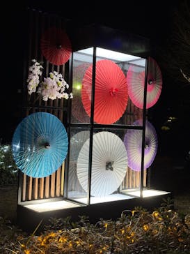 鹿児島イルミナージュに投稿された画像（2023/12/21）