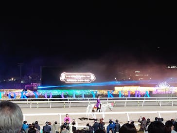 東京メガイルミに投稿された画像（2023/12/21）