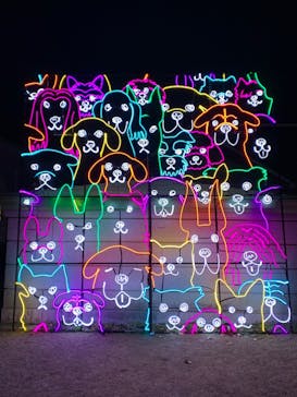 神戸イルミナージュに投稿された画像（2023/12/21）