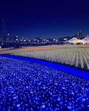 東京メガイルミに投稿された画像（2023/12/22）