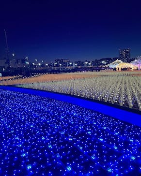 東京メガイルミに投稿された画像（2023/12/21）