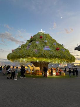 東京メガイルミに投稿された画像（2023/12/21）