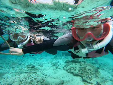 武藤潜水に投稿された画像（2023/12/22）