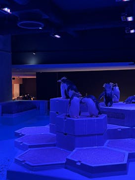 AOAO SAPPOROに投稿された画像（2023/12/22）