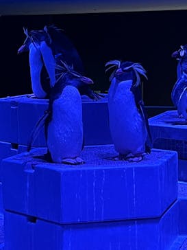 AOAO SAPPOROに投稿された画像（2023/12/22）