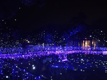 江の島シーキャンドルに投稿された画像（2023/12/22）