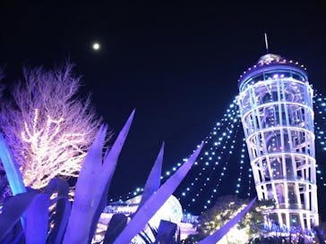 江の島シーキャンドルに投稿された画像（2023/12/22）