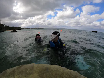 武藤潜水に投稿された画像（2023/12/22）