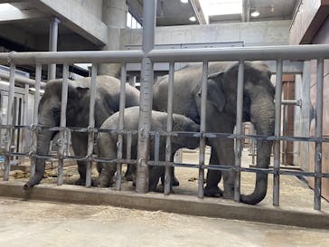 名古屋市東山動植物園に投稿された画像（2023/12/22）