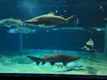 アクアワールド茨城県大洗水族館に投稿された画像（2023/12/22）