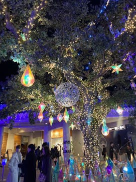 江の島シーキャンドルに投稿された画像（2023/12/22）