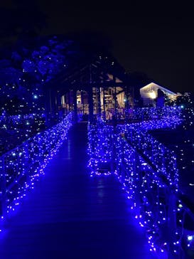 江の島シーキャンドルに投稿された画像（2023/12/22）