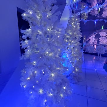 梅田スカイビル・空中庭園展望台に投稿された画像（2023/12/22）