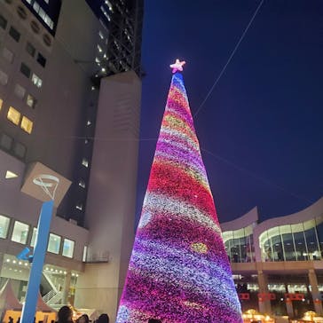 梅田スカイビル・空中庭園展望台に投稿された画像（2023/12/22）
