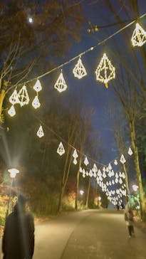 ムーミンバレーパークに投稿された画像（2023/12/22）