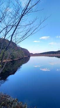 ムーミンバレーパークに投稿された画像（2023/12/22）