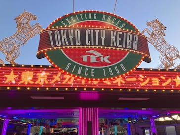 東京メガイルミに投稿された画像（2023/12/22）