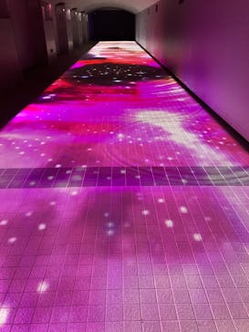 東京メガイルミに投稿された画像（2023/12/22）