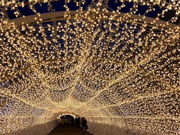 東京メガイルミに投稿された画像（2023/12/22）