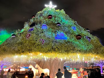 東京メガイルミに投稿された画像（2023/12/22）