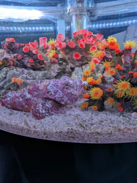 マクセル アクアパーク品川に投稿された画像（2023/12/22）