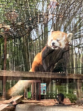 千葉市動物公園に投稿された画像（2023/12/22）