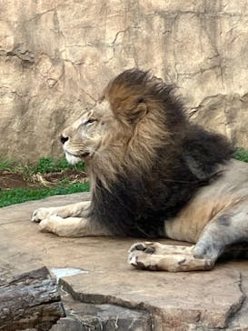 千葉市動物公園に投稿された画像（2023/12/22）