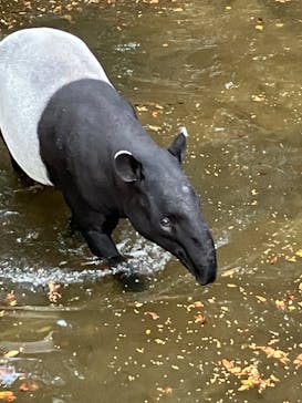 千葉市動物公園に投稿された画像（2023/12/22）