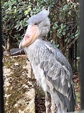 千葉市動物公園に投稿された画像（2023/12/22）