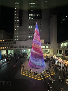 梅田スカイビル・空中庭園展望台に投稿された画像（2023/12/22）