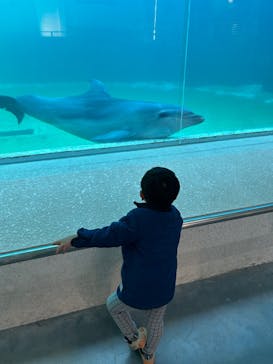 南知多ビーチランド＆南知多おもちゃ王国に投稿された画像（2023/12/22）