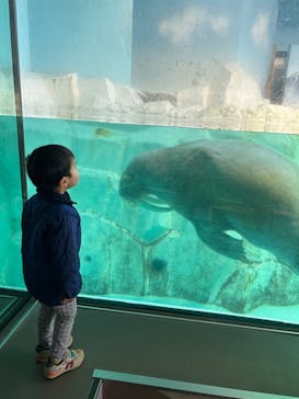 南知多ビーチランド＆南知多おもちゃ王国に投稿された画像（2023/12/22）