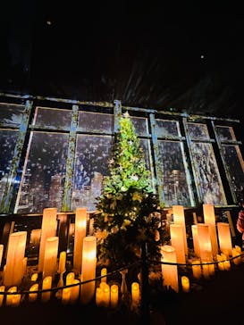 東京タワーに投稿された画像（2023/12/22）