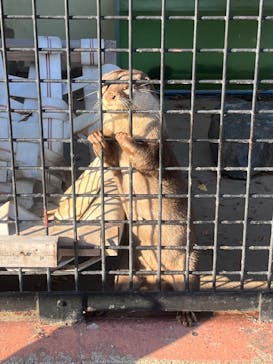 東武動物公園に投稿された画像（2023/12/23）