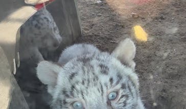 宇都宮動物園に投稿された画像（2023/12/23）