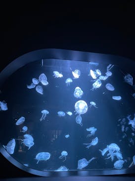 AOAO SAPPOROに投稿された画像（2023/12/23）