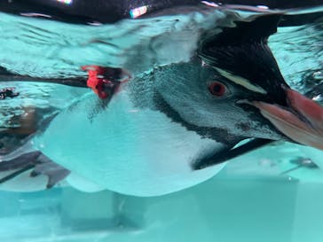 AOAO SAPPOROに投稿された画像（2023/12/23）