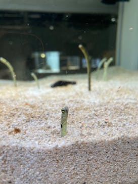 AOAO SAPPOROに投稿された画像（2023/12/23）