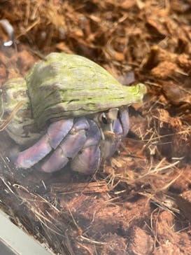 AOAO SAPPOROに投稿された画像（2023/12/23）