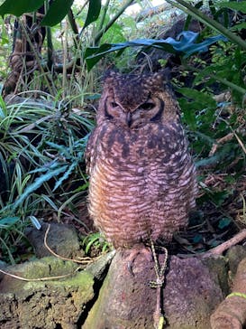 伊豆シャボテン動物公園に投稿された画像（2023/12/23）